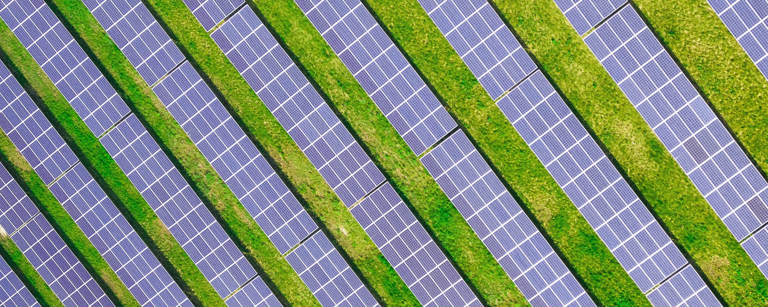 aerial shot of solar panels in a field