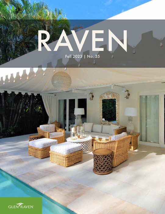Cover of the Raven magazine, issue number 35